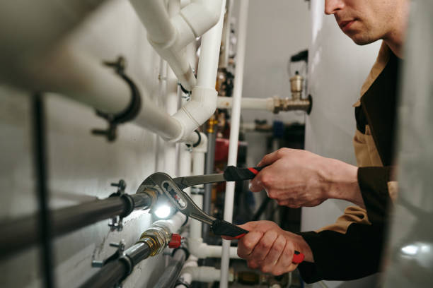 Best Clogged Drain Plumber  in Rockton, IL